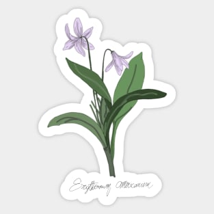 Little flower Sticker